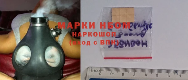 прущие грибы Абаза
